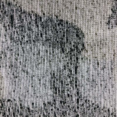 Tissu imprimé en 3 couleurs en polyester 100% Jacquard