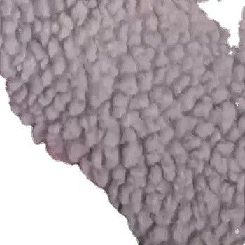 2023 Moyen à la fin Les usines commandent de la laine d'agneau en particules de polyester pour la doublure de style de luxe