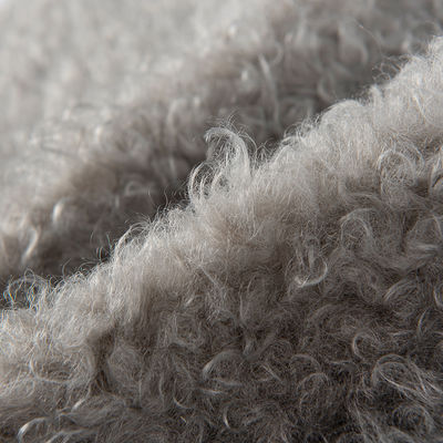 Largeur 58/60 " 100% polyester en laine Teddy Tissu pour vêtements Flannelette cercles bouclés