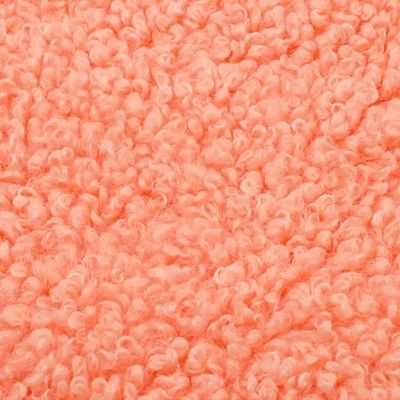 Vêtement de femme 300GSM Teddy Vêtement de laine à coque douce Couleur personnalisée 100% polyester